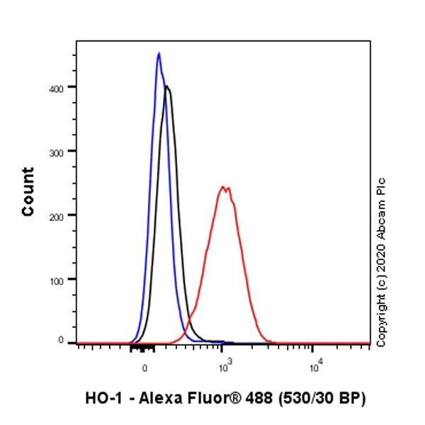 Flow Cytometry (Intracellular) - Anti-Heme Oxygenase 1 antibody [EP1391Y] (AB52947)
