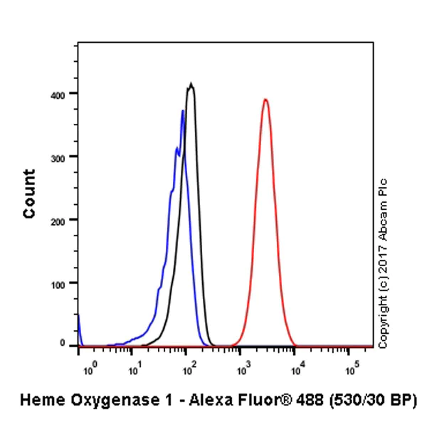Flow Cytometry (Intracellular) - Anti-Heme Oxygenase 1 antibody [EPR1390Y] - BSA and Azide free (AB221215)