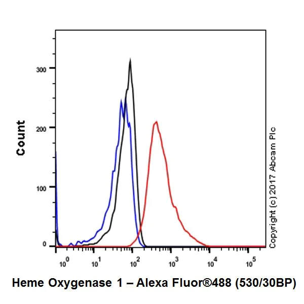 Flow Cytometry (Intracellular) - Anti-Heme Oxygenase 1 antibody [EPR18161-128] - BSA and Azide free (AB224677)