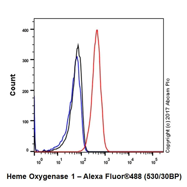 Flow Cytometry (Intracellular) - Anti-Heme Oxygenase 1 antibody [EPR18161-128] - BSA and Azide free (AB224677)