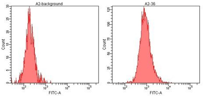 Flow Cytometry (Intracellular) - Anti-Heme Oxygenase 1 antibody [HO-1-1] (ab13248), expandable thumbnail