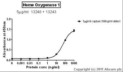 Sandwich ELISA - Anti-Heme Oxygenase 1 antibody [HO-1-1] (AB13248)
