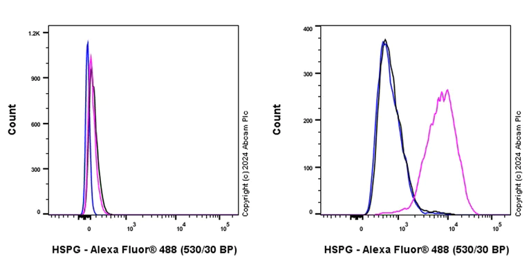 Flow Cytometry (Intracellular) - Anti-Heparan Sulfate Proteoglycan 2/Perlecan antibody [RM2059] - BSA and Azide free (AB318285)