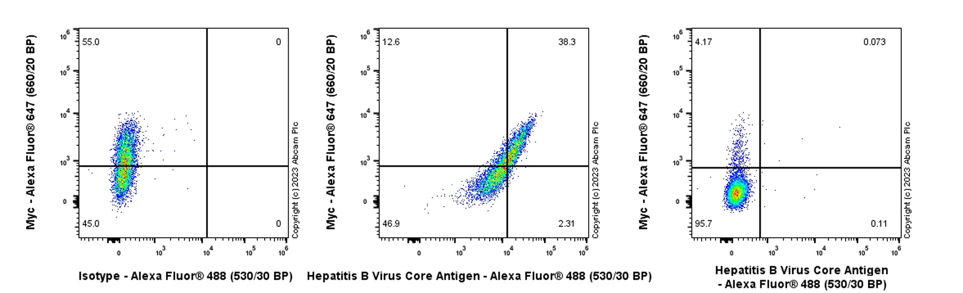 Flow Cytometry (Intracellular) - Anti-Hepatitis B Virus Core Antigen antibody [EPR28251-34] (AB316283), expandable thumbnail