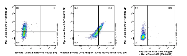 Flow Cytometry (Intracellular) - Anti-Hepatitis B Virus Core Antigen antibody [EPR28251-34] (AB316283)