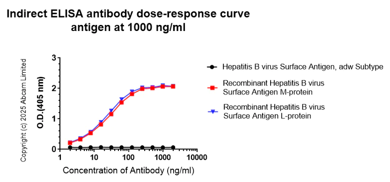 Indirect ELISA - Anti-Hepatitis B Virus pre S2 Antigen antibody [2D3] (AB324607)