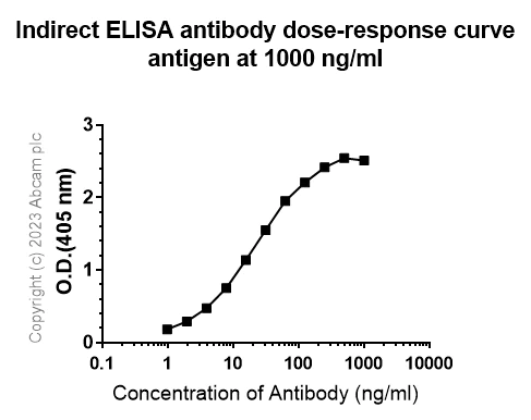 Indirect ELISA - Anti-Hepatitis B virus Protein X antibody [EPR27041-49] (AB309352)