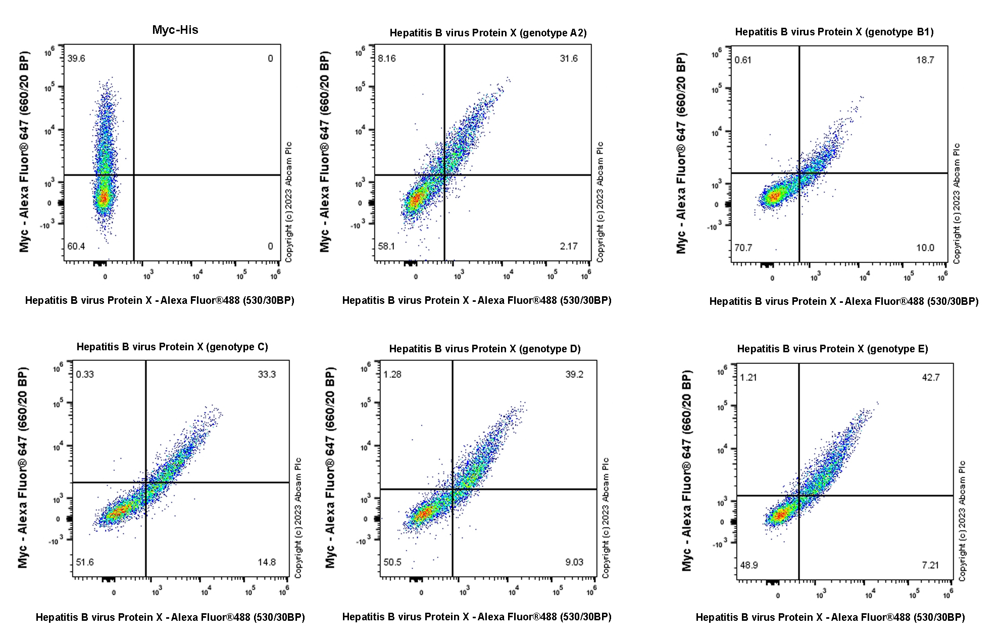Flow Cytometry (Intracellular) - Anti-Hepatitis B virus Protein X antibody [EPR27041-49] - BSA and Azide free (ab309353), expandable thumbnail