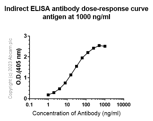 Indirect ELISA - Anti-Hepatitis B virus Protein X antibody [EPR27041-49] - BSA and Azide free (ab309353), expandable thumbnail