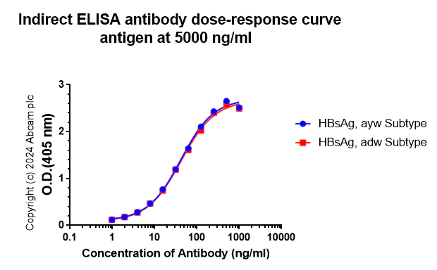 Indirect ELISA - Anti-Hepatitis B Virus Surface Antigen antibody [3B8] - BSA and Azide free (AB316775)