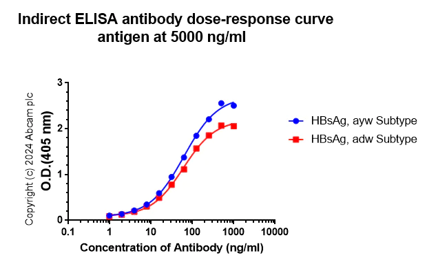 Indirect ELISA - Anti-Hepatitis B Virus Surface Antigen antibody [3E7] (AB316776)