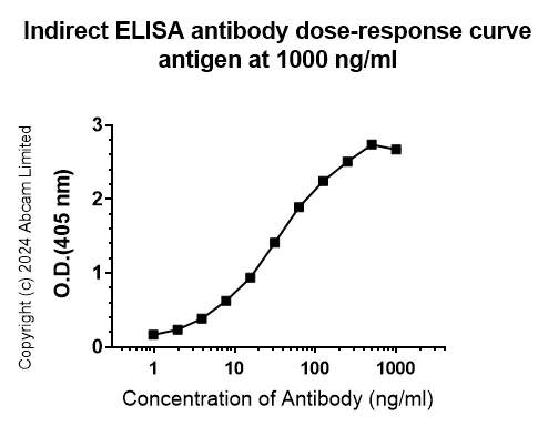 Indirect ELISA - Anti-Hepatitis B Virus Surface Antigen antibody [EPR29887-532] - BSA and Azide free (AB326587)