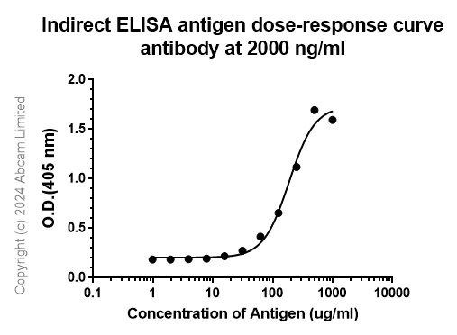Indirect ELISA - Anti-Hepatitis B Virus Surface Antigen (ayw) antibody [1C10] - BSA and Azide free (AB324813)
