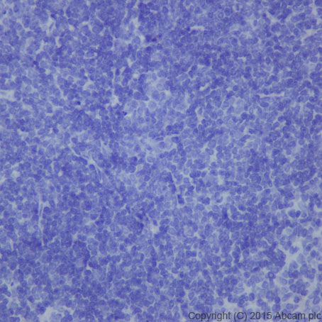 Immunohistochemistry (Formalin/PFA-fixed paraffin-embedded sections) - Anti-Hepcidin + Hepcidin-2 antibody [EPR18937] (ab190775), expandable thumbnail