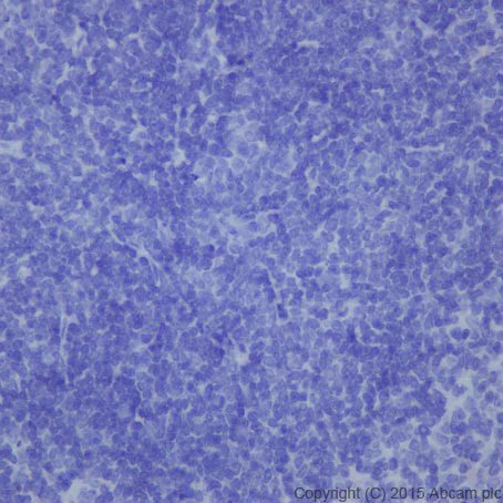 Immunohistochemistry (Formalin/PFA-fixed paraffin-embedded sections) - Anti-Hepcidin + Hepcidin-2 antibody [EPR18937] (AB190775)