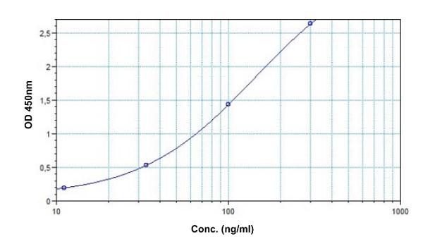 Sandwich ELISA - Anti-HER2 ELISA Kit (AB237645), expandable thumbnail