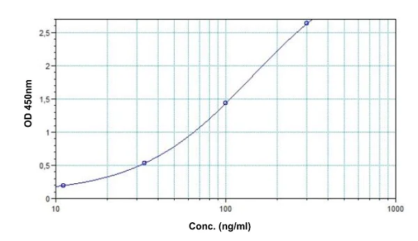 Sandwich ELISA - Anti-HER2 ELISA Kit (AB237645)