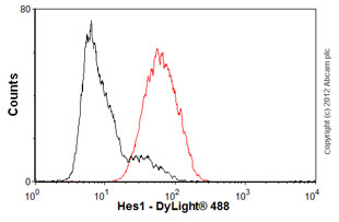 Flow Cytometry (Intracellular) - Anti-Hes1 antibody [EPR4226] (AB108937), expandable thumbnail