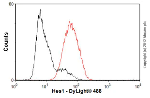 Flow Cytometry (Intracellular) - Anti-Hes1 antibody [EPR4226] (AB108937)
