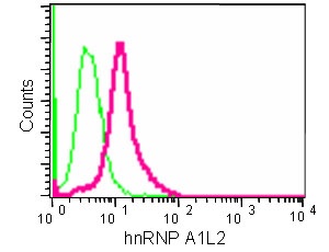 Flow Cytometry (Intracellular) - Anti-Heterogeneous Nuclear Ribonucleoprotein (A1-like) antibody [EPR13673-33] - BSA and Azide free (AB250479), expandable thumbnail