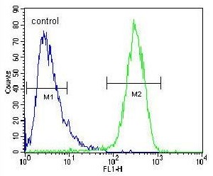 Flow Cytometry (Intracellular) - Anti-HEXA antibody (AB230488), expandable thumbnail