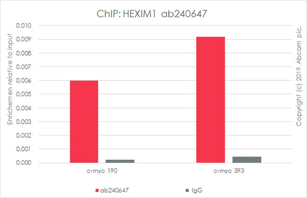 ChIP - Anti-HEXIM1 antibody [EPR23430-12] - BSA and Azide free (AB272694)