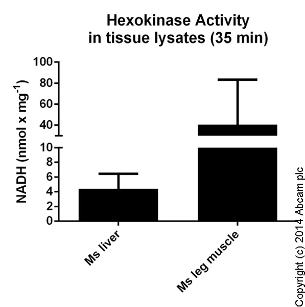 Functional Studies - Hexokinase Activity Assay Kit (Colorimetric) (AB136957)