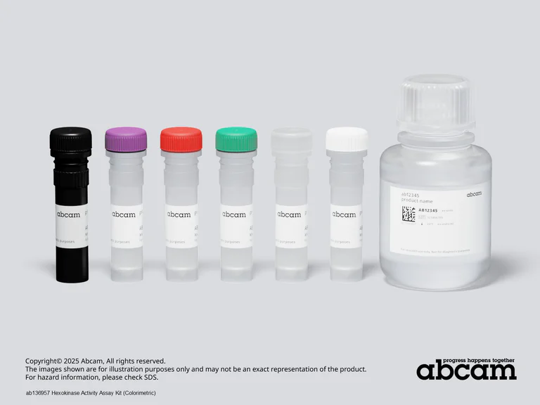 Schematic Diagram - Hexokinase Activity Assay Kit (Colorimetric) (AB136957)