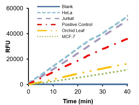 Functional Studies - Hexokinase Activity Assay Kit (Fluorometric) (AB211103), expandable thumbnail