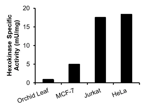 Functional Studies - Hexokinase Activity Assay Kit (Fluorometric) (AB211103)