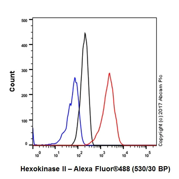 Flow Cytometry (Intracellular) - Anti-Hexokinase II antibody [EPR20839] - BSA and Azide free (AB228819)