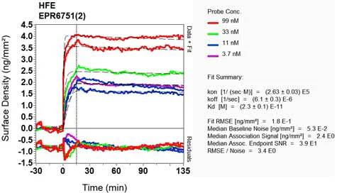 OI-RD Scanning - Anti-HFE antibody [EPR6751(2)] (AB133639)