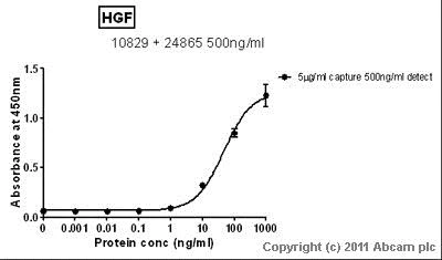 Sandwich ELISA - Anti-HGF antibody [EGH2 4C12.1] (AB10829)