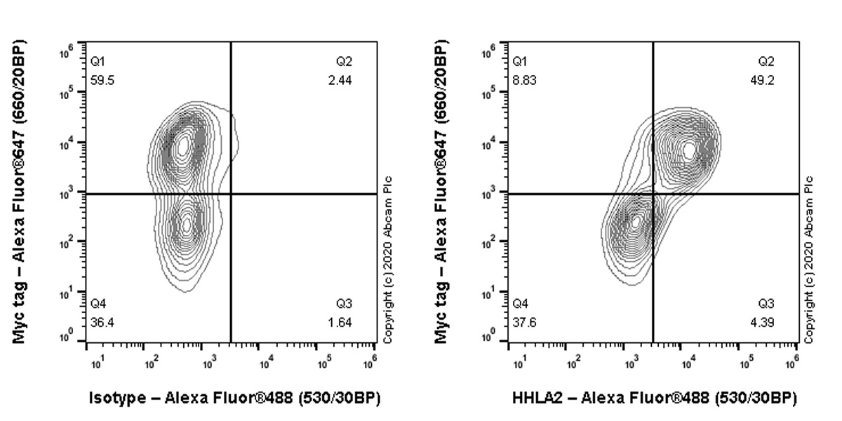 Flow Cytometry - Anti-HHLA2 antibody [EPR23563-120] (AB254367), expandable thumbnail