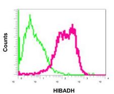 Flow Cytometry (Intracellular) - Anti-HIBADH antibody [EPR12519(B)] (AB175203), expandable thumbnail