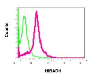 Flow Cytometry (Intracellular) - Anti-HIBADH antibody [EPR12525(B)] (AB172955)