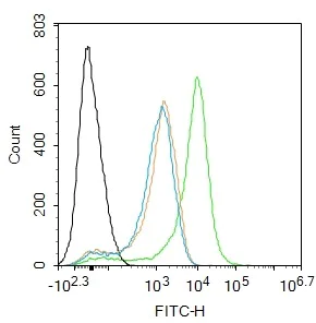 Flow Cytometry (Intracellular) - Anti-HIF-1 alpha antibody (AB216842)