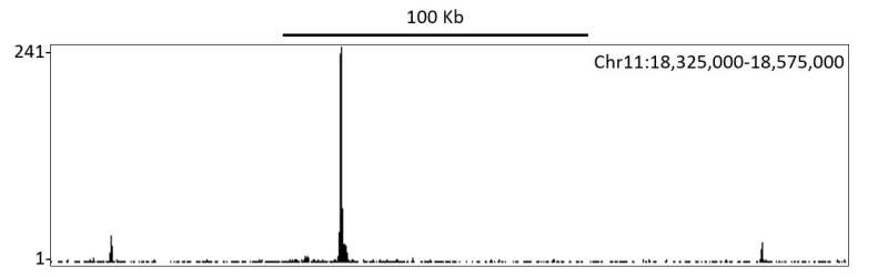 ChIP-sequencing - Anti-HIF-1 alpha antibody [BL-124-3F7] - BSA free (AB272040), expandable thumbnail