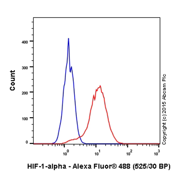 Flow Cytometry (Intracellular) - Anti-HIF-1 alpha antibody [EP1215Y] - BSA and Azide free (AB210073)