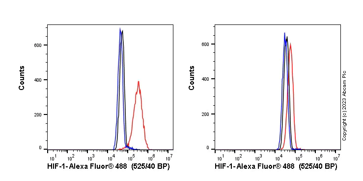 Flow Cytometry (Intracellular) - Anti-HIF-1 alpha antibody [EP1215Y] - BSA and Azide free (AB210073)