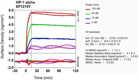 OI-RD Scanning - Anti-HIF-1 alpha antibody [EP1215Y] - BSA and Azide free (AB210073)