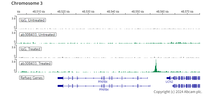 ChIC/CUT&RUN sequencing - Anti-HIF-1 alpha antibody [EPR16897-145] (AB308433), expandable thumbnail
