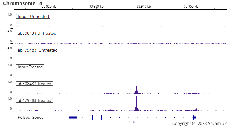 ChIP-sequencing - Anti-HIF-1 alpha antibody [EPR16897-145] (ab308433), expandable thumbnail