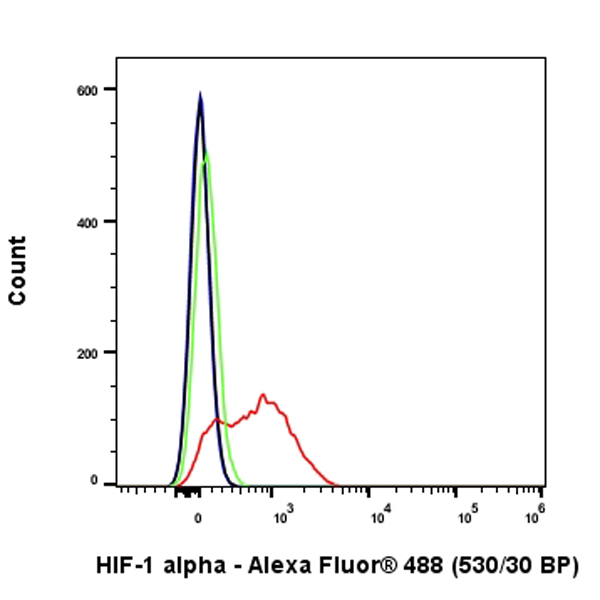 Flow Cytometry (Intracellular) - Anti-HIF-1 alpha antibody [EPR16897-145] (ab308433), expandable thumbnail