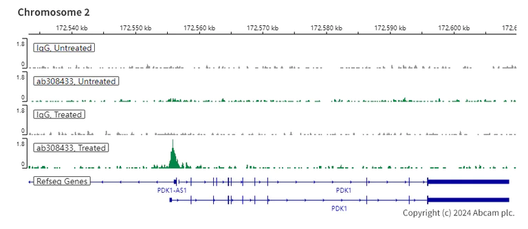 ChIC/CUT&RUN sequencing - Anti-HIF-1 alpha antibody [EPR16897-145] - BSA and Azide free (AB308434)