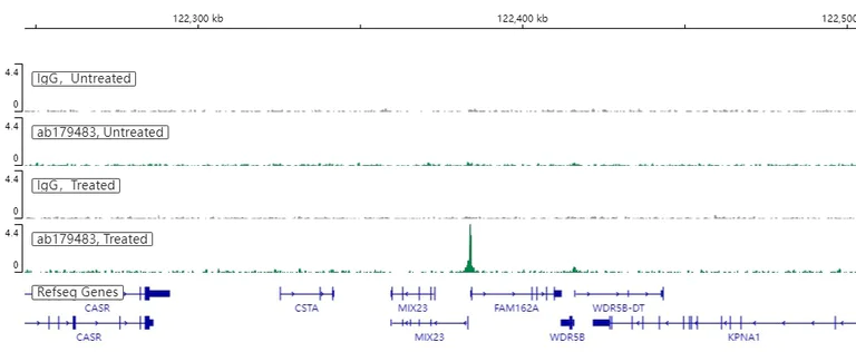 ChIC/CUT&RUN sequencing - Anti-HIF-1 alpha antibody [EPR16897] - BSA and Azide free (AB221610)