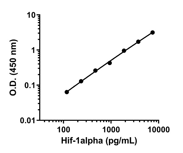 Sandwich ELISA - Anti-HIF-1 alpha antibody [EPR23071-183] - BSA and Azide free (Capture) (AB275280), expandable thumbnail