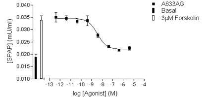 Western blot - Anti-HIF-1 alpha antibody [H1alpha67] (AB1)