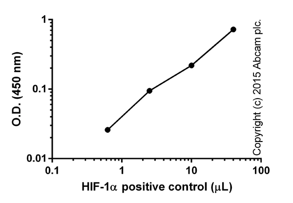 Functional Studies - HIF-1 alpha Transcription Factor Assay Kit (AB133104)