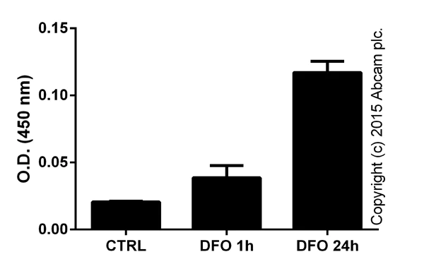 Functional Studies - HIF-1 alpha Transcription Factor Assay Kit (AB133104)